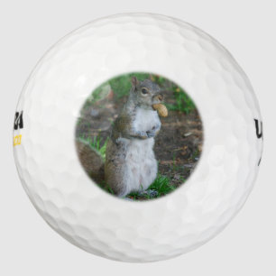 Pelotas De Golf Silly Squirrel