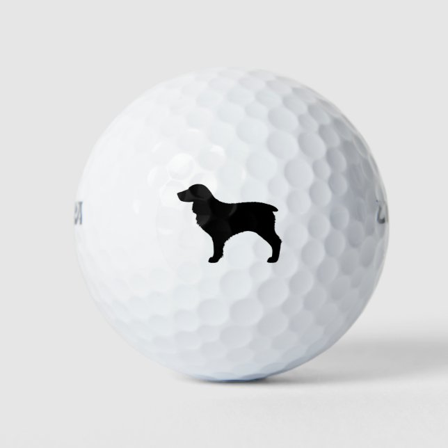 Pelotas De Golf Silueta de Boykin Spaniel (Anverso)