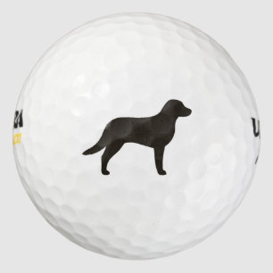 Pelotas De Golf Silueta del Retriever de la Bahía de Chesapeake
