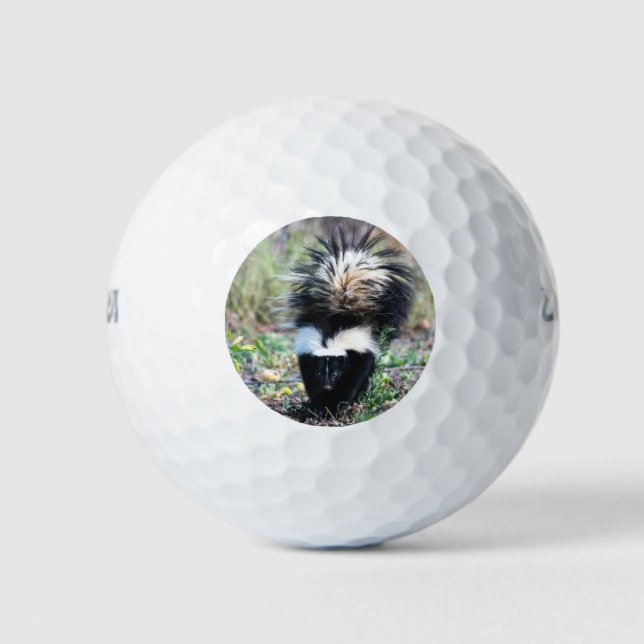 Pelotas De Golf Skunk Black and White (Anverso)
