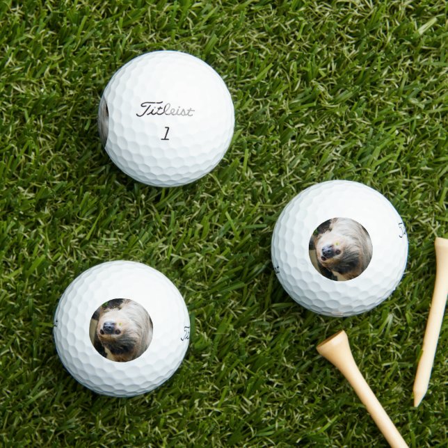 Pelotas De Golf Sloth 001 (Césped in situ)