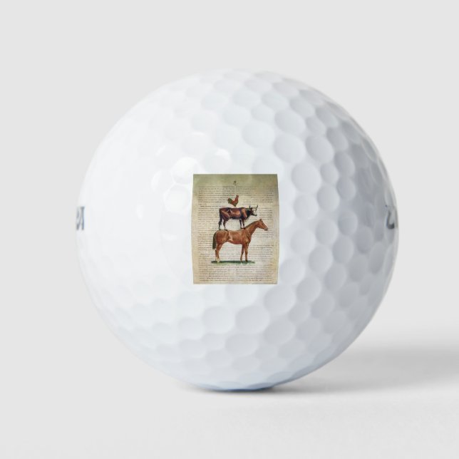 Pelotas De Golf Soporte de granja NOB12 C1.tif (Anverso)