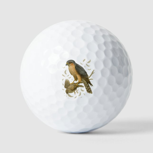 Pelotas De Golf Sperber im Wald – Überraschungsangriff auf Spatz (Anverso)