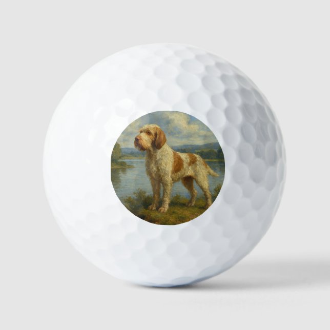 Pelotas De Golf Spinone Italiano (Anverso)