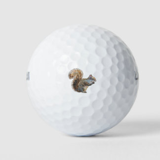 Pelotas De Golf Squirrel Cutie