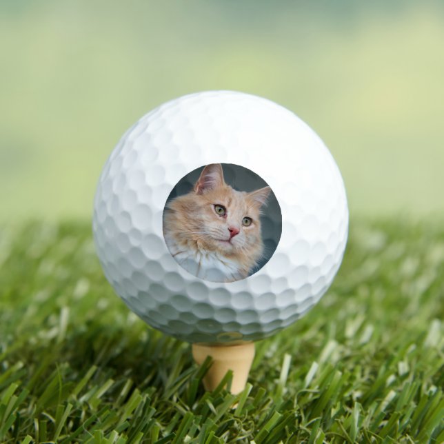 Pelotas De Golf Sr. Handsome (Camiseta in situ)