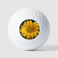 Sunflower va gbcna
