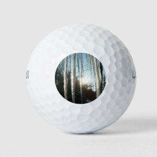Pelotas De Golf Sunrise Through Icicles Winter Nature Photography