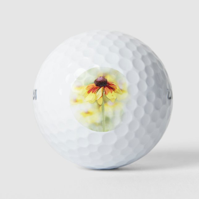 Pelotas De Golf Susan Vignette (Anverso)