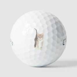 Pelotas De Golf Tabby Cat Golf Balls