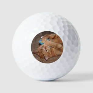 Pelotas De Golf Tater