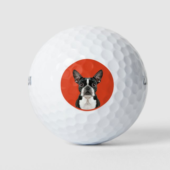 Pelotas De Golf Tema del Mascota Boston Terrier (Anverso)