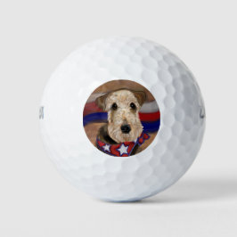 PELOTAS DE GOLF TERRIER AIREDALE       