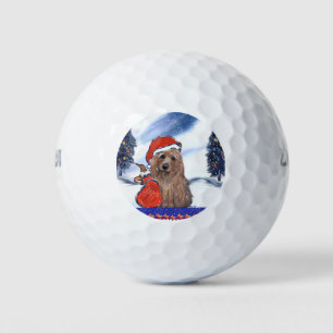 Pelotas De Golf Terrier Australiano