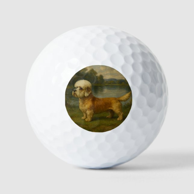Pelotas De Golf Terrier Dandi Dinmont (Anverso)