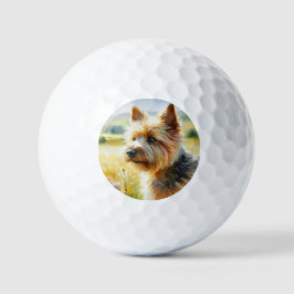 Pelotas De Golf Terrier de Norwich