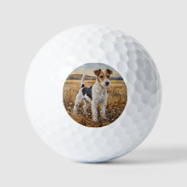 Pelotas De Golf Terrier de zorro