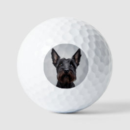 Pelotas De Golf Terrier escocés