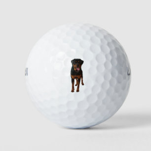 Pelotas De Golf The Rottweiler