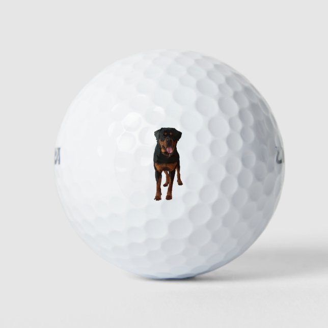 Pelotas De Golf The Rottweiler (Anverso)