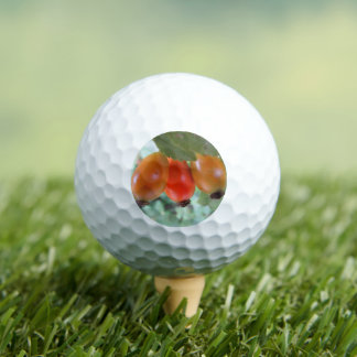 Pelotas De Golf Three orange rosehips