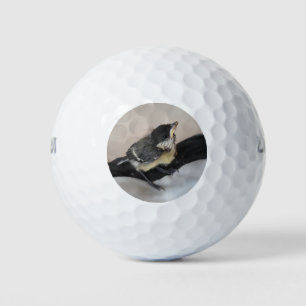 Pelotas De Golf Tidi my Bird the Parus Major