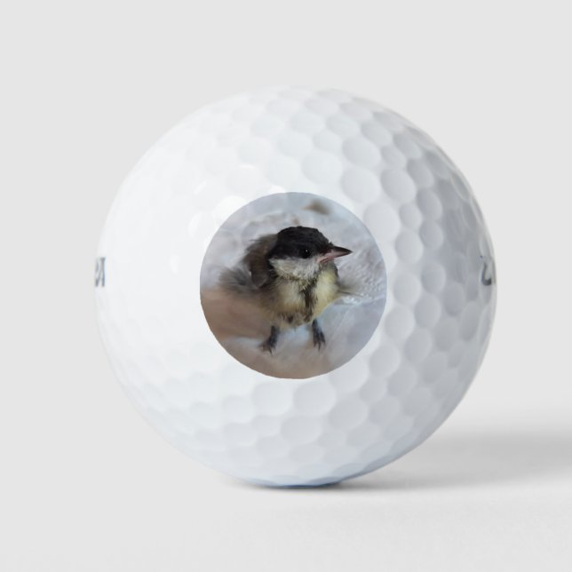 Pelotas De Golf Tidi my Bird the Parus Major (Anverso)