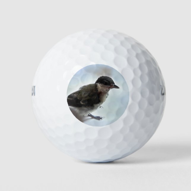 Pelotas De Golf Tidi my Bird the Parus Major (Anverso)