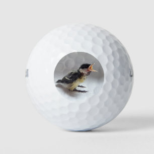 Pelotas De Golf Tidi my Bird the Parus Major