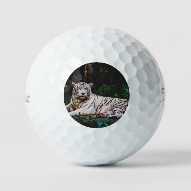 Pelotas De Golf Tigre (Anverso)