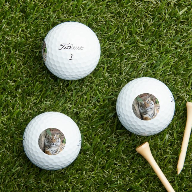 Pelotas De Golf Tigre 005 (Césped in situ)