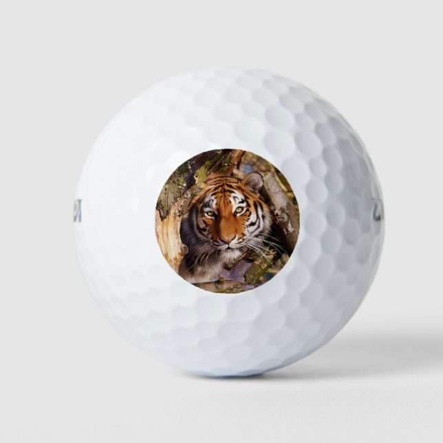 Pelotas De Golf Tigre, gato, estribos de animales, patrón de desti (Anverso)