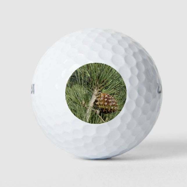 Pelotas De Golf Torrey Pine Closeup California Botanical (Anverso)