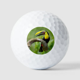 Pelotas De Golf Toucan sentado en la rama del bosque