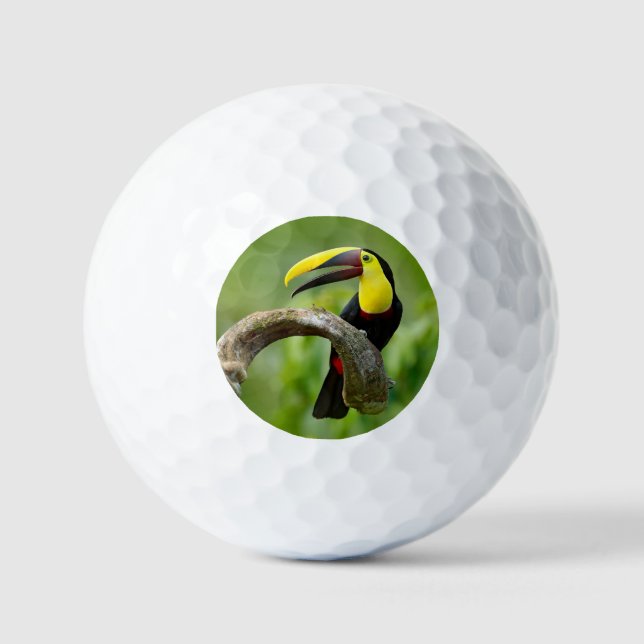 Pelotas De Golf Toucan sentado en la rama del bosque (Anverso)