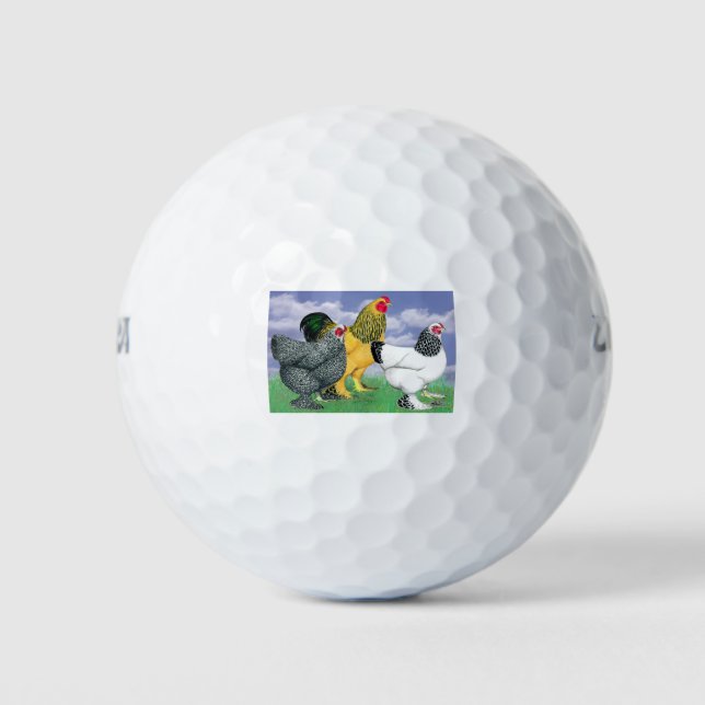 Pelotas De Golf Tres Brahmas (Anverso)