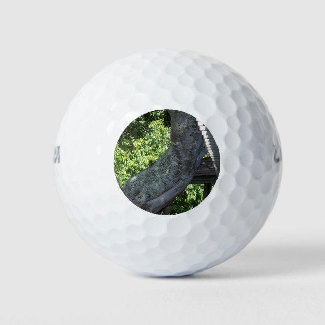 Pelotas De Golf tronco de árbol retorcido (Anverso)