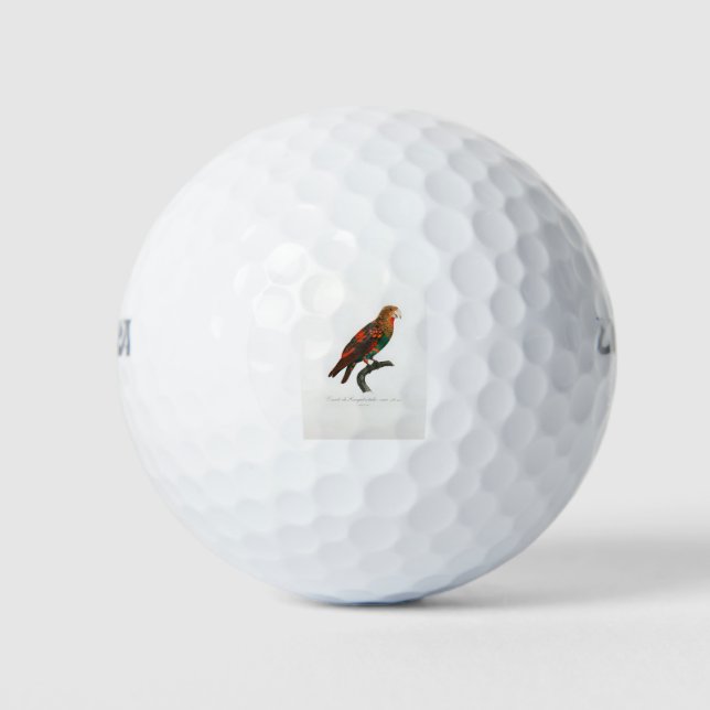 Pelotas De Golf tropical macaw parrot (Anverso)
