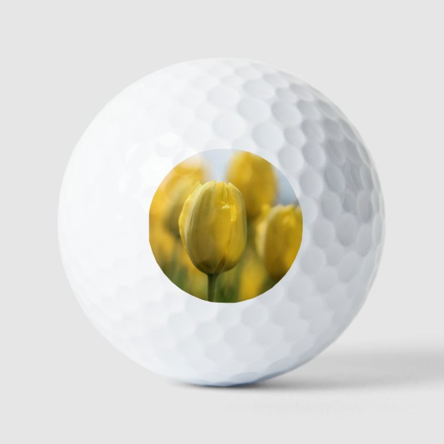 Pelotas De Golf Tuercas brillantes (Anverso)
