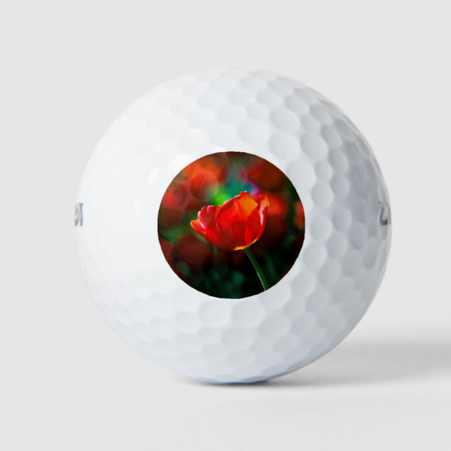 Pelotas De Golf Tulipán rojo - Misterio del florecimiento (Anverso)