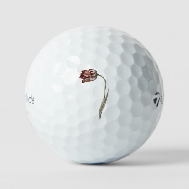 Pelotas De Golf Tulipán rosa de Jean Bernard (1775-1883). (Anverso)