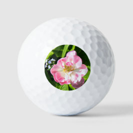 Pelotas De Golf Tulipán rosado