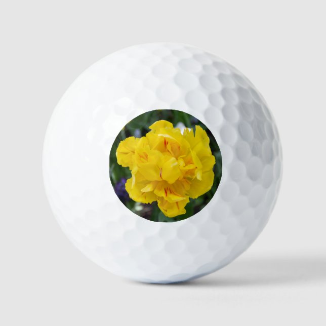 Pelotas De Golf Tulipanes amarillos en el jardín (Anverso)