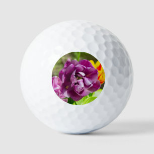 Pelotas De Golf Tulipanes de Lilac en un día soleado