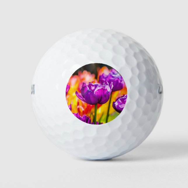 Pelotas De Golf Tulipanes Encantadores Púrpura (Anverso)