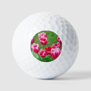 Pelotas De Golf Tulipanes escarlata en el jardín