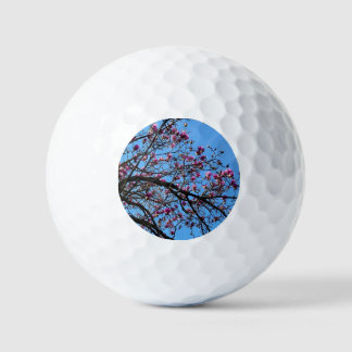 Pelotas De Golf Tulipano en flor