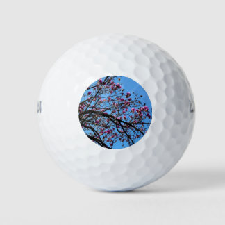 Pelotas De Golf Tulipano en flor