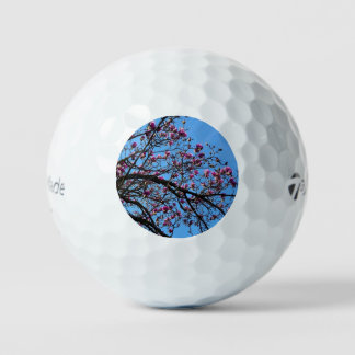 Pelotas De Golf Tulipano en flor