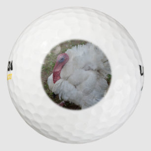 Pelotas De Golf Turquía